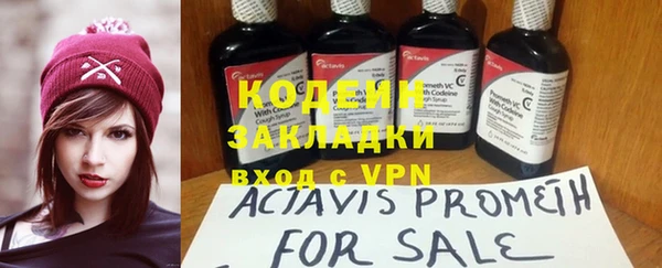 шишки Богданович