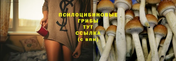 винт Балахна
